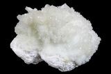 2.2" Stilbite and Apophyllite Crystals on Mordenite - India - #168736-1